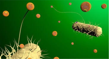 Rendered image of photothermal antibacterial nanomaterials bound to e coli