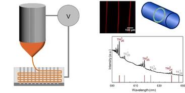 WGM fiber resonator schematic